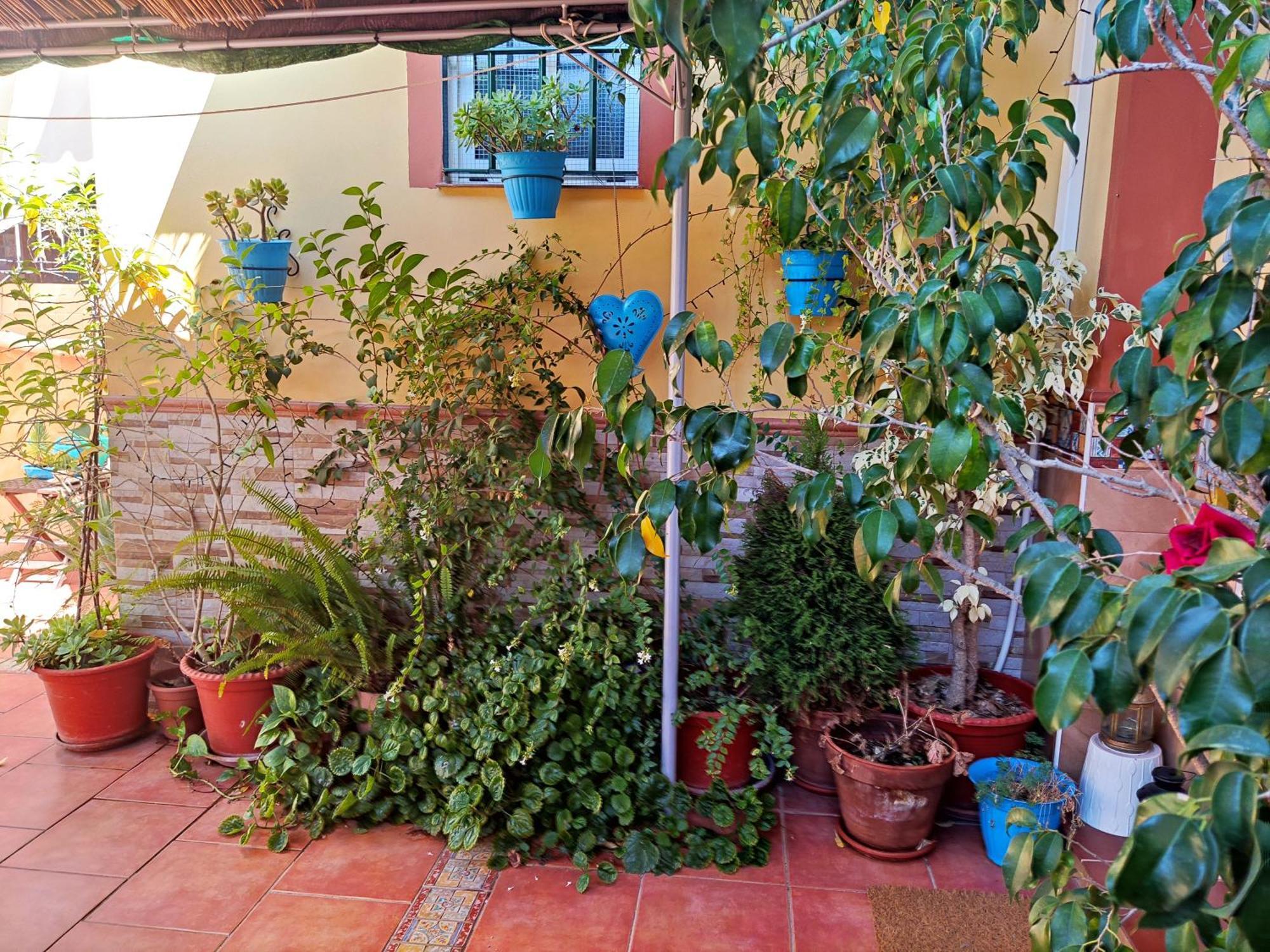 Apartamento Cool Garden Mairena del Aljarafe Eksteriør billede