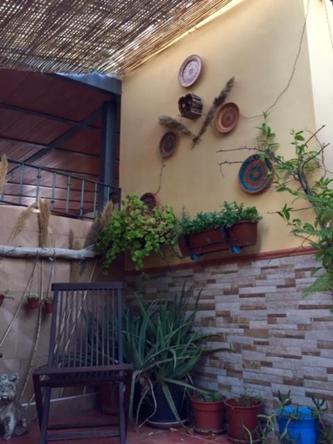 Apartamento Cool Garden Mairena del Aljarafe Eksteriør billede