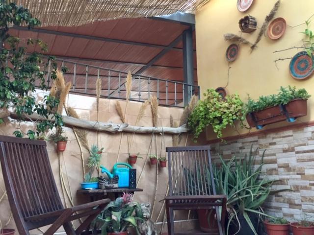Apartamento Cool Garden Mairena del Aljarafe Eksteriør billede