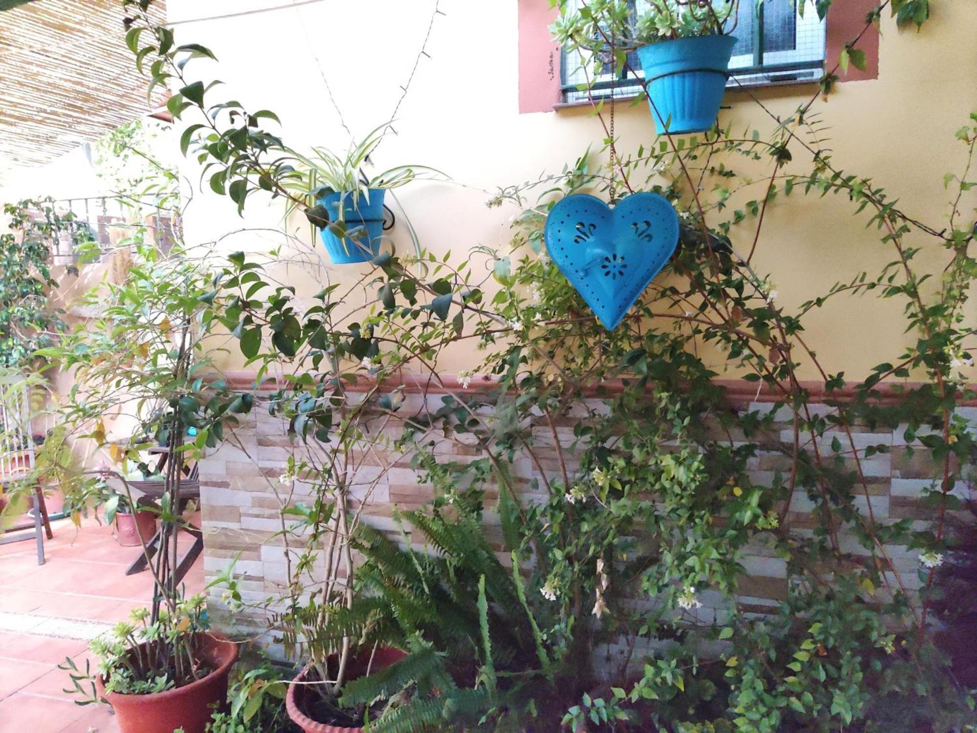 Apartamento Cool Garden Mairena del Aljarafe Eksteriør billede