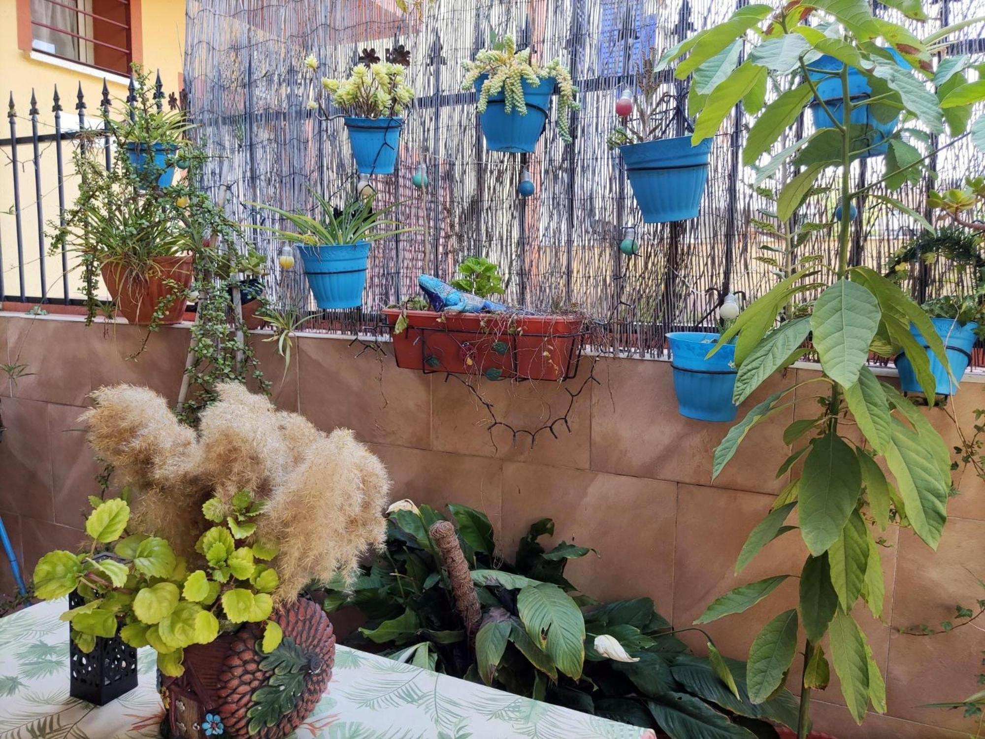 Apartamento Cool Garden Mairena del Aljarafe Eksteriør billede