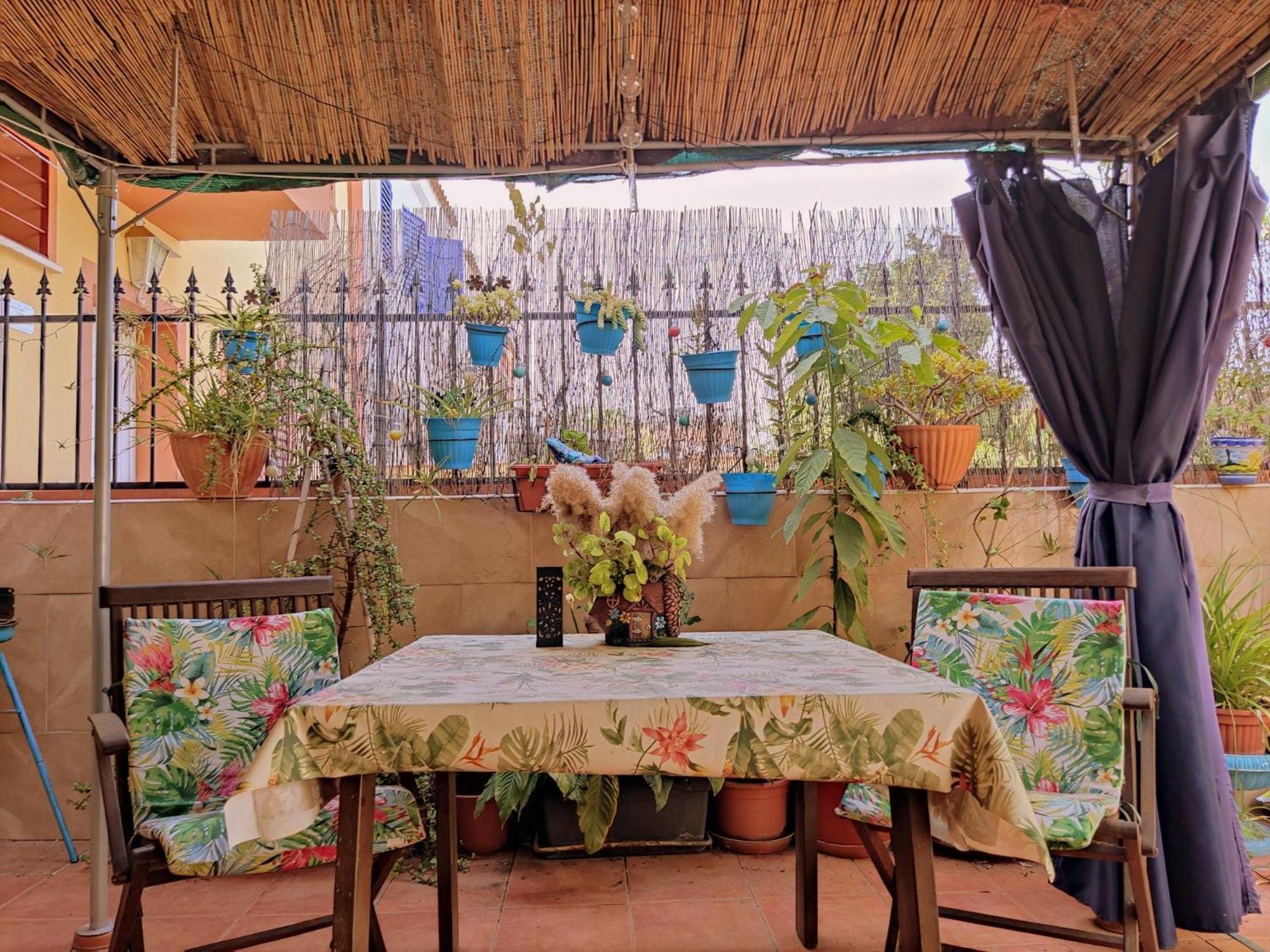 Apartamento Cool Garden Mairena del Aljarafe Eksteriør billede